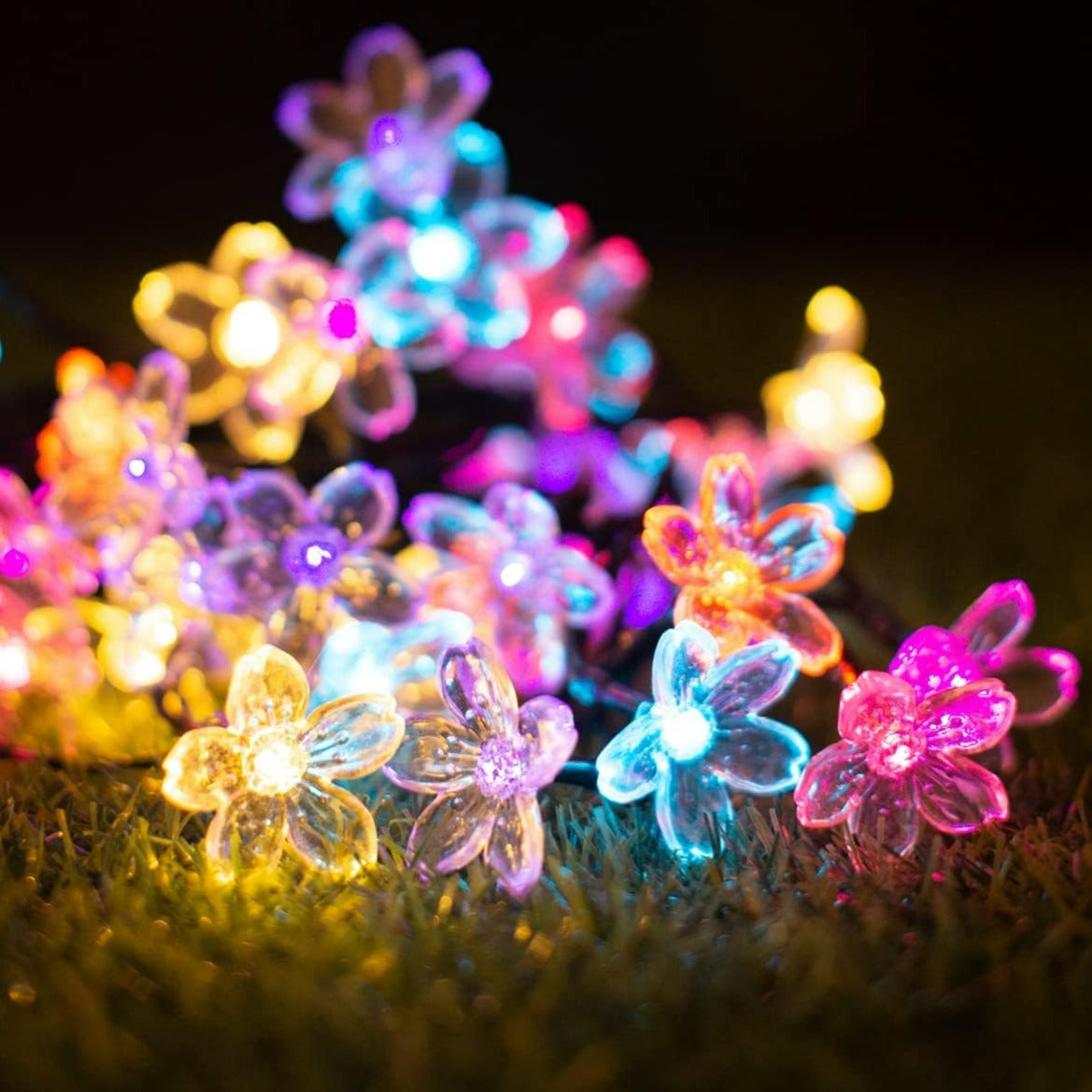 50 LED Cherry Blossom Solar String Lights (Colour)