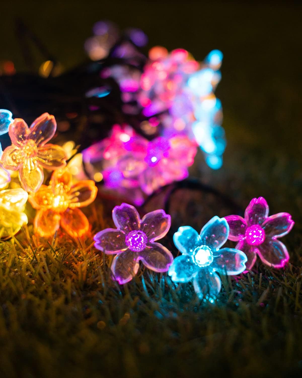 50 LED Cherry Blossom Solar String Lights (Colour)