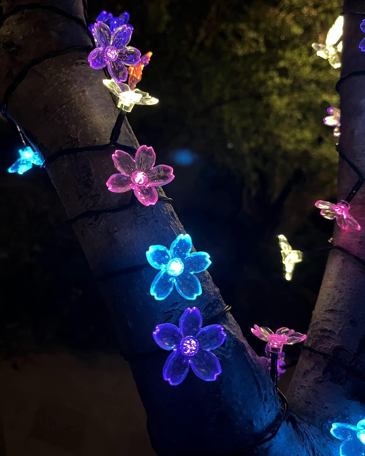 50 LED Cherry Blossom Solar String Lights (Colour)