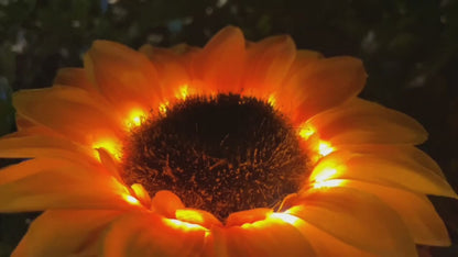 Solar Sunflower Garden Light ( 2 for $15! )